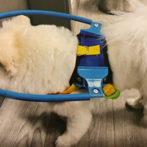 LetPetRun Blind Dog Halo Harness
